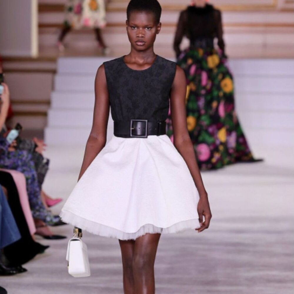 RUNWAY. $3270 NWOT Carolina Herrera Mini Dress Size: 2